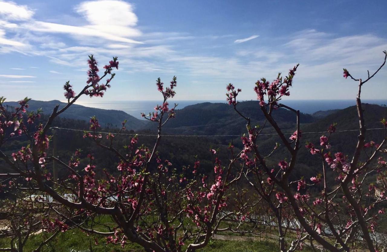 Agriturismo Lavalleggia Tovo San Giacomo Eksteriør bilde