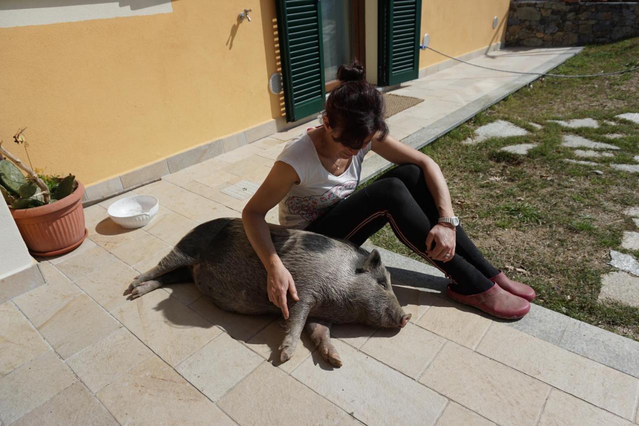 Agriturismo Lavalleggia Tovo San Giacomo Eksteriør bilde