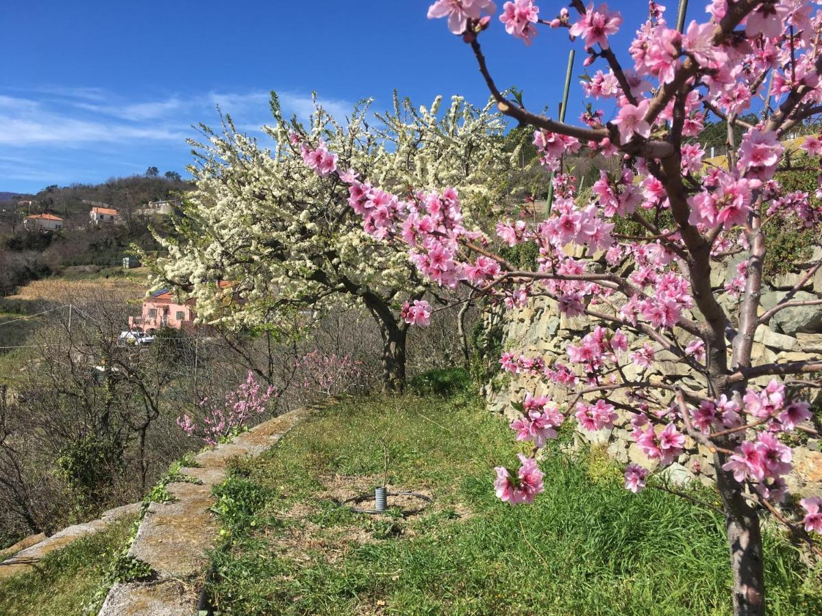 Agriturismo Lavalleggia Tovo San Giacomo Eksteriør bilde