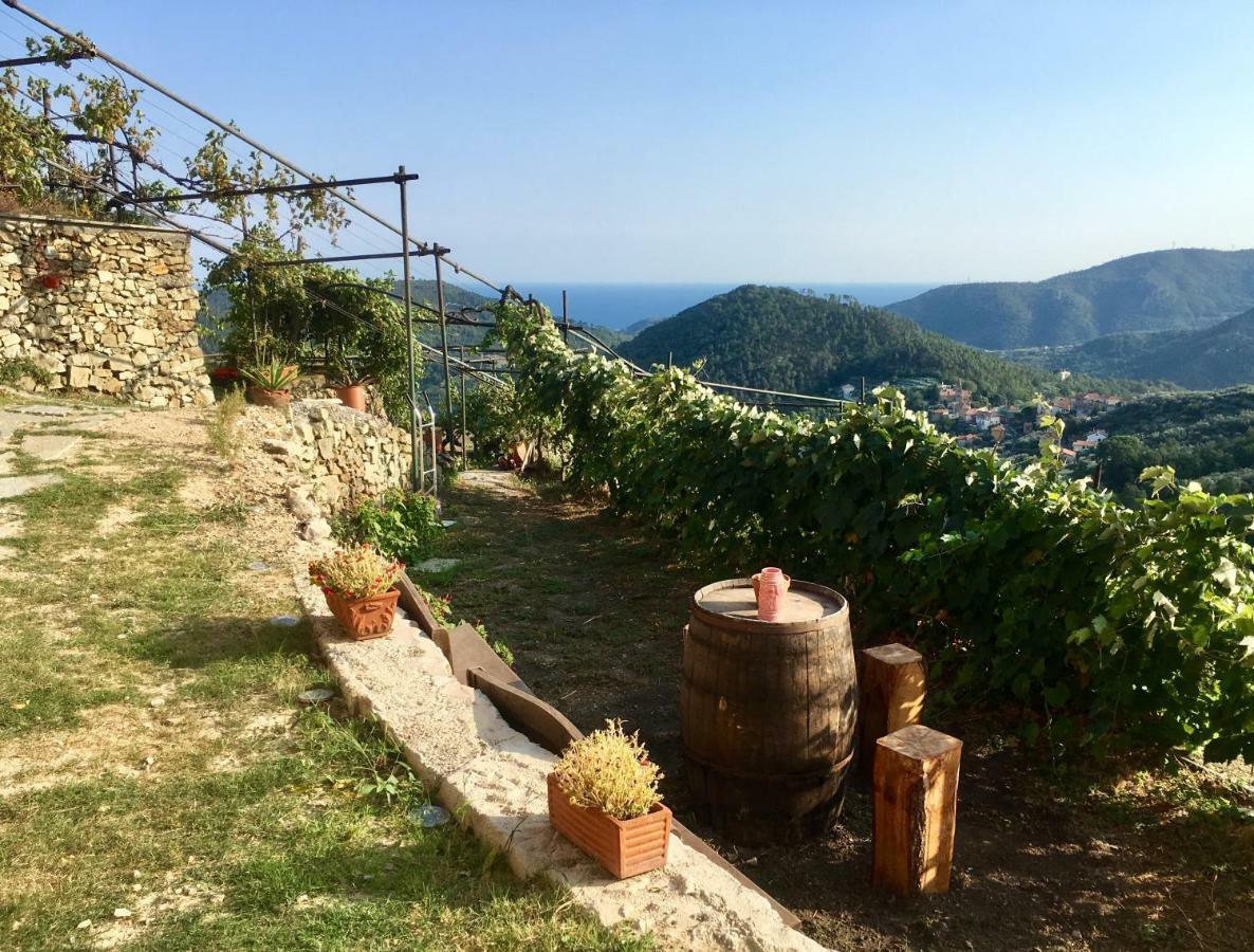 Agriturismo Lavalleggia Tovo San Giacomo Eksteriør bilde