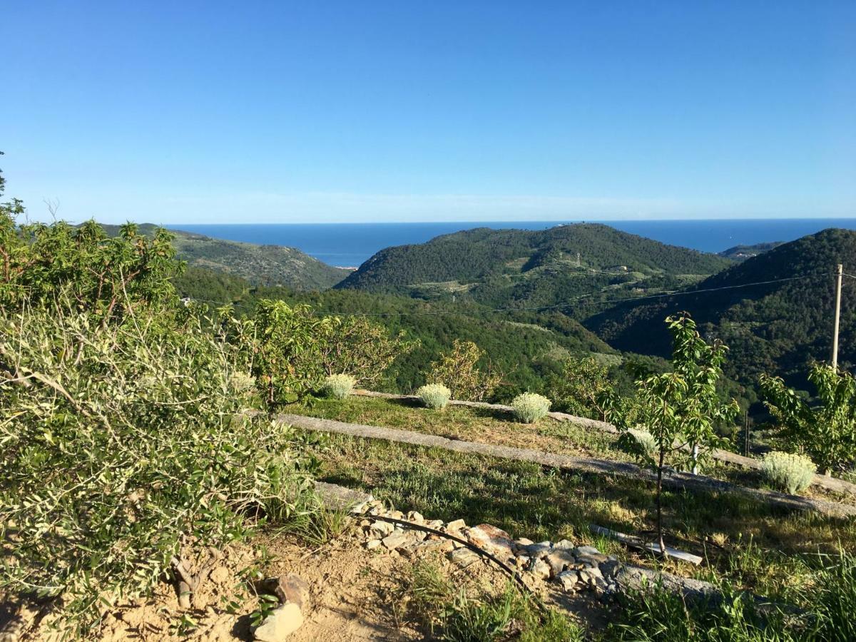 Agriturismo Lavalleggia Tovo San Giacomo Eksteriør bilde