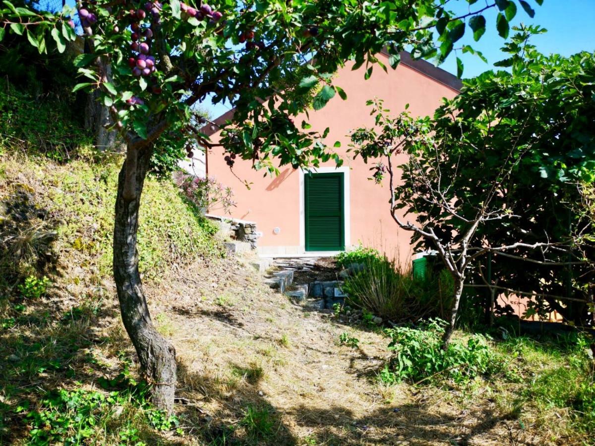 Agriturismo Lavalleggia Tovo San Giacomo Eksteriør bilde