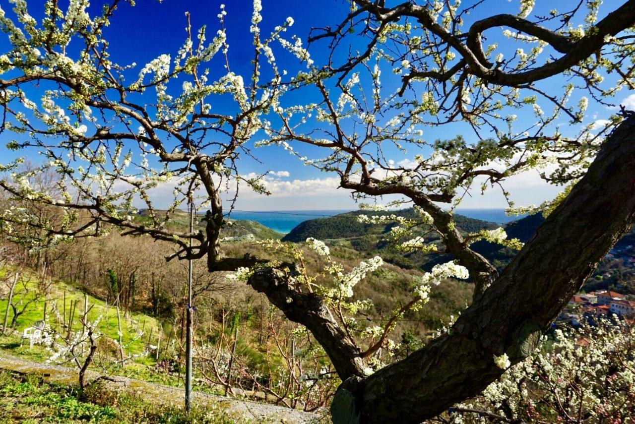 Agriturismo Lavalleggia Tovo San Giacomo Eksteriør bilde